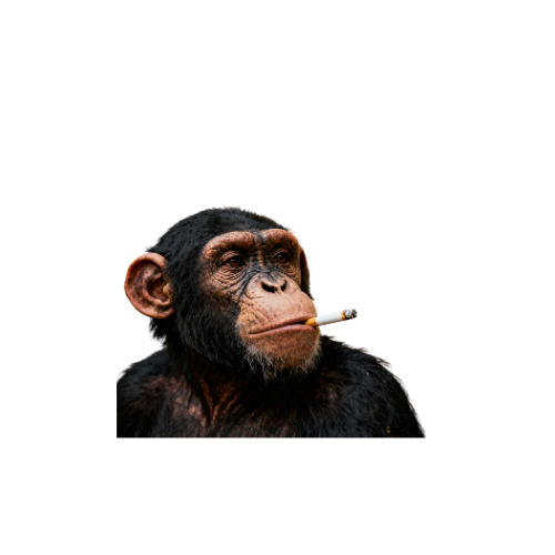 primate supply house